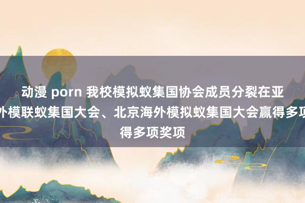 动漫 porn 我校模拟蚁集国协会成员分裂在亚洲海外模联蚁集国大会、北京海外模拟蚁集国大会赢得多项奖项