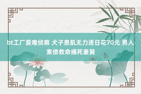 bt工厂爱唯侦察 犬子患肌无力逐日花70元 男人索债救命捅死妻舅