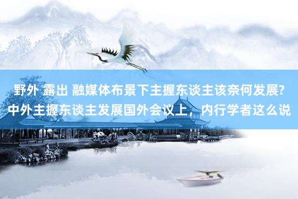 野外 露出 融媒体布景下主握东谈主该奈何发展?中外主握东谈主发展国外会议上，内行学者这么说