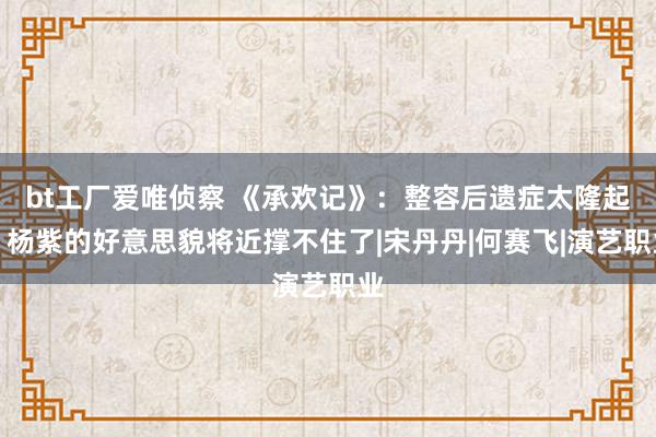 bt工厂爱唯侦察 《承欢记》：整容后遗症太隆起，杨紫的好意思貌将近撑不住了|宋丹丹|何赛飞|演艺职业