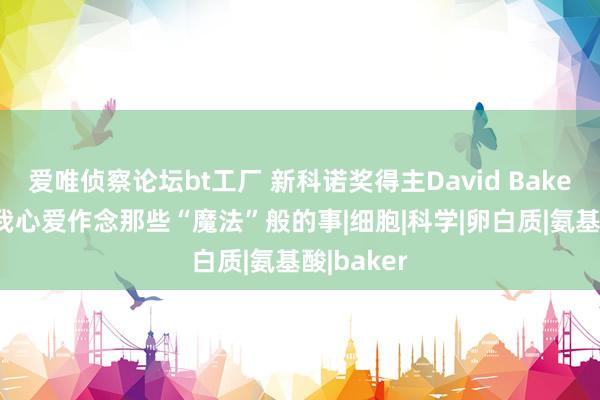 爱唯侦察论坛bt工厂 新科诺奖得主David Baker 栽植：我心爱作念那些“魔法”般的事|细胞|科学|卵白质|氨基酸|baker