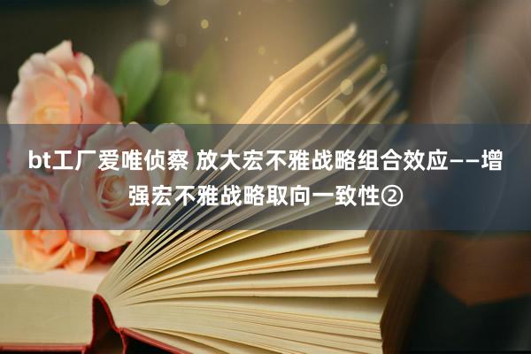 bt工厂爱唯侦察 放大宏不雅战略组合效应——增强宏不雅战略取向一致性②