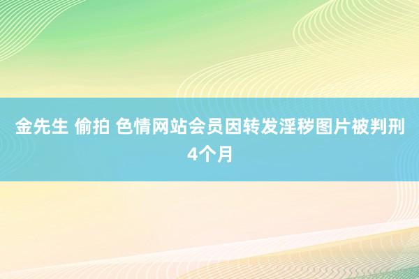 金先生 偷拍 色情网站会员因转发淫秽图片被判刑4个月