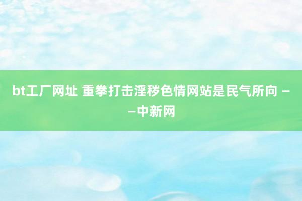 bt工厂网址 重拳打击淫秽色情网站是民气所向 ——中新网