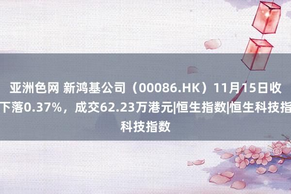 亚洲色网 新鸿基公司（00086.HK）11月15日收盘下落0.37%，成交62.23万港元|恒生指数|恒生科技指数