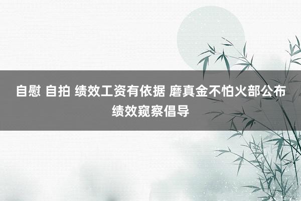 自慰 自拍 绩效工资有依据 磨真金不怕火部公布绩效窥察倡导