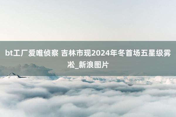 bt工厂爱唯侦察 吉林市现2024年冬首场五星级雾凇_新浪图片