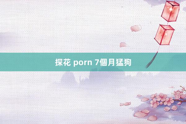 探花 porn 7個月猛狗