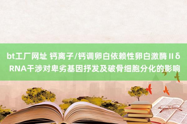 bt工厂网址 钙离子/钙调卵白依赖性卵白激酶Ⅱδ RNA干涉对卑劣基因抒发及破骨细胞分化的影响