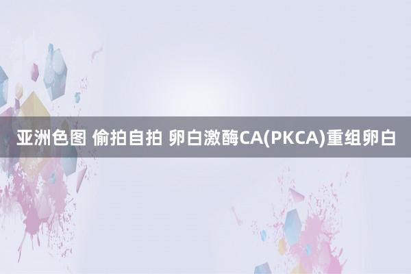 亚洲色图 偷拍自拍 卵白激酶CΑ(PKCA)重组卵白